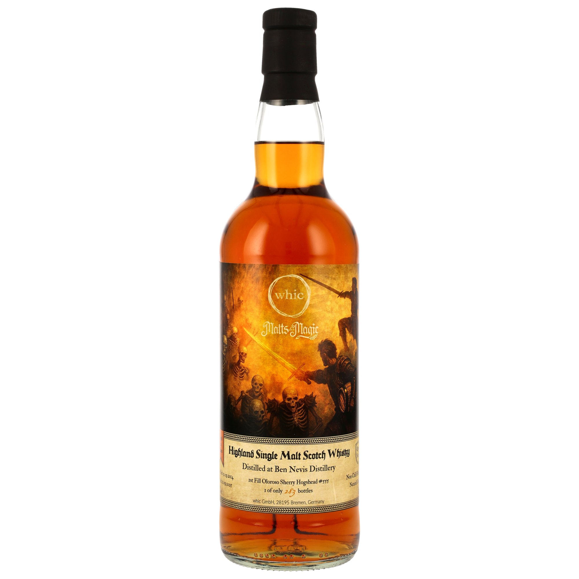 Ben Nevis 2014/2025 - 10 Jahre 1st Fill Oloroso Sherry Hogshead #555 Malts & Magic Quest No. 4 (whic)