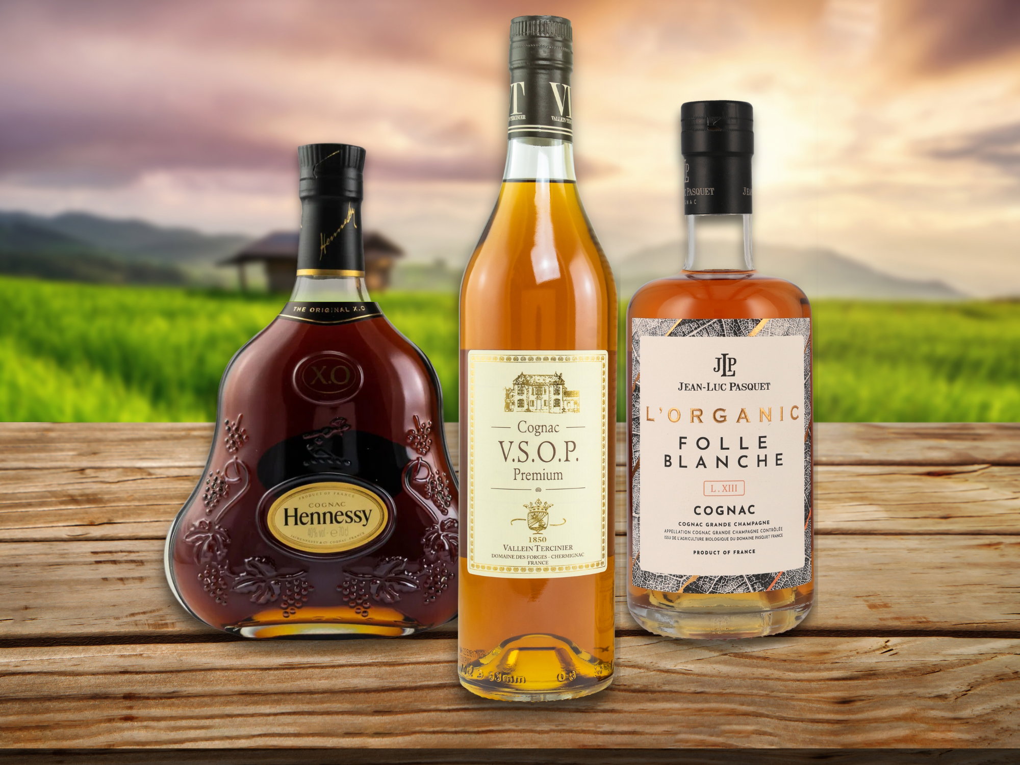 Hennessy XO Cognac in eleganter Flasche, Jean-Luc Pasquet Folle Blanche L.XIII und VSOP Premium Cognac im Detailaufnahmen vor grünem Hintergrund