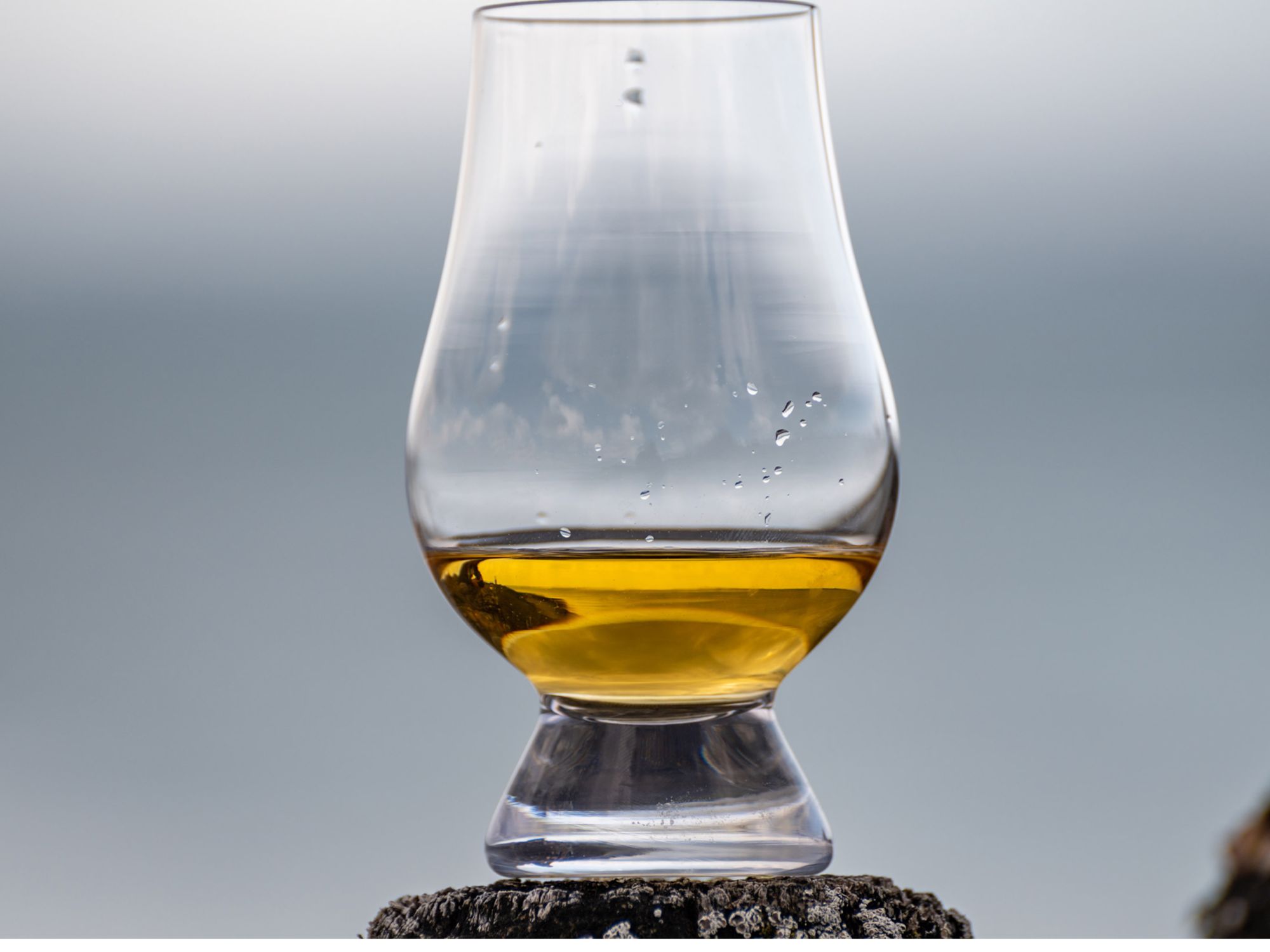 Tulip-Glass mit goldfarbenem Premium-Whisky in natürlicher Outdoor-Szenerie, Detailaufnahme der bernsteinfarbenen Spirituose