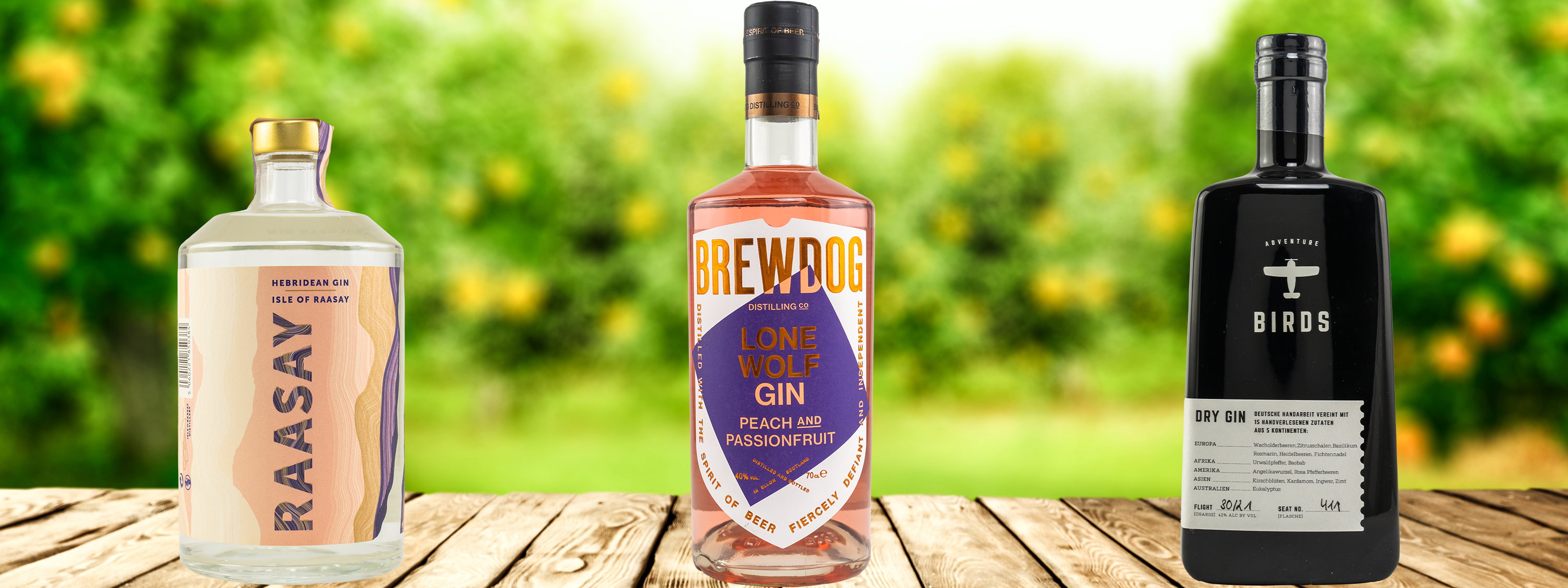 BrewDog Lone Wolf Peach and Passionfruit Gin, Raasay Hebridean Gin und Adventure Birds Dry Gin als Triplet im Outdoor-Setting mit unscharfem Orangenhain-Hintergrund