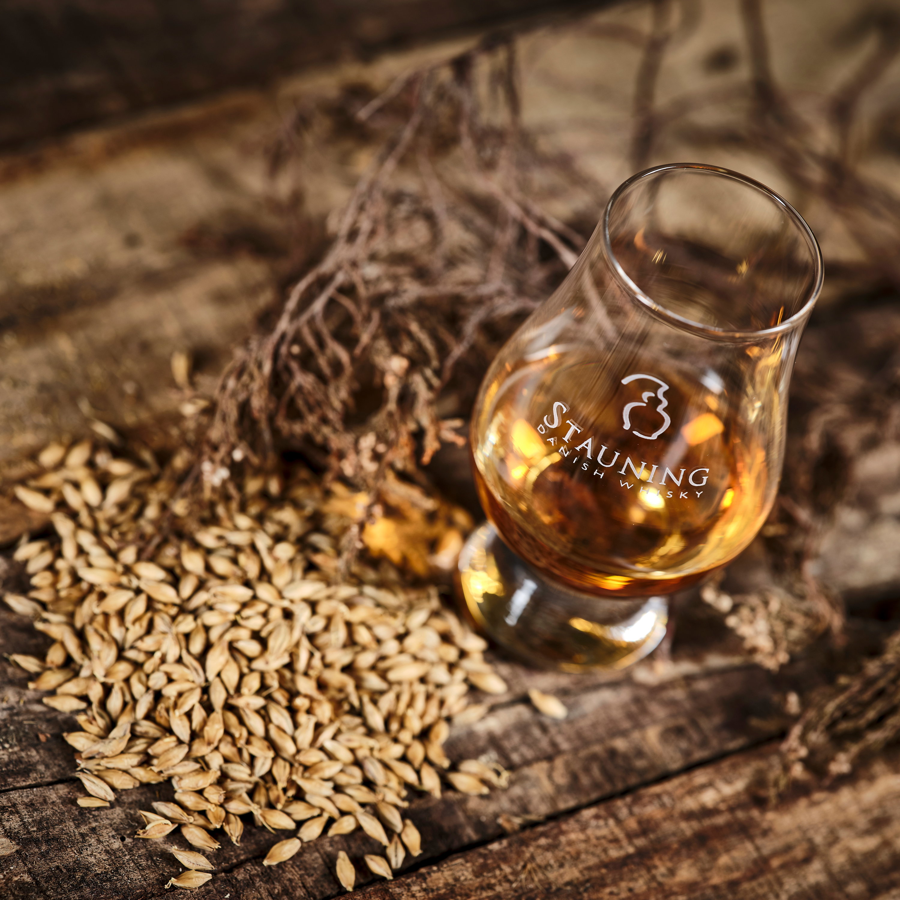 Stauning Danish Rye Whisky in tulpenförmigem Nosing-Glas auf gemälzter Gerste im rustikalen Destillerie-Setting